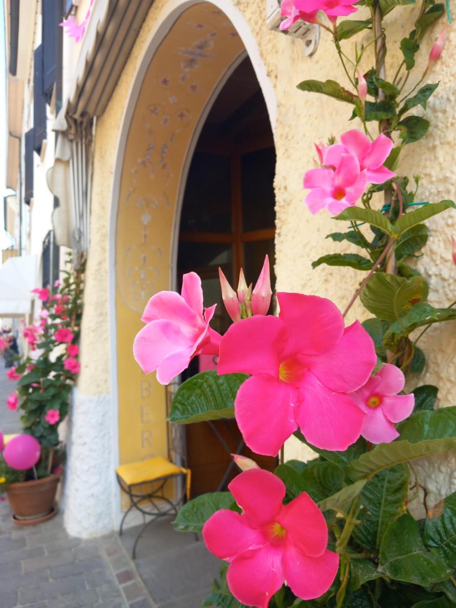 Albergo Giulia Gonzaga サッビオネータ エクステリア 写真